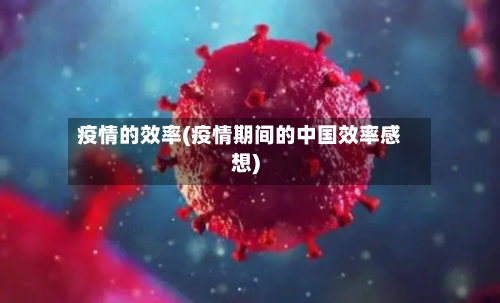 疫情的效率(疫情期间的中国效率感想)