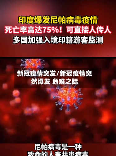 新冠疫情突发/新冠疫情突然爆发 危难之际