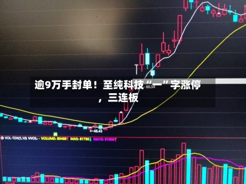逾9万手封单！至纯科技“一”字涨停	，三连板-第2张图片