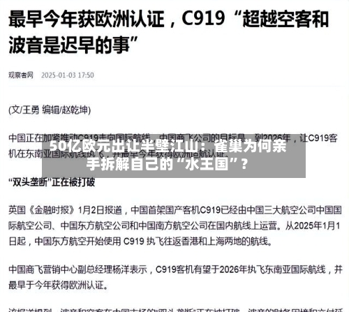 50亿欧元出让半壁江山：雀巢为何亲手拆解自己的“水王国”？-第3张图片
