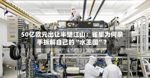 50亿欧元出让半壁江山：雀巢为何亲手拆解自己的“水王国”？-第2张图片