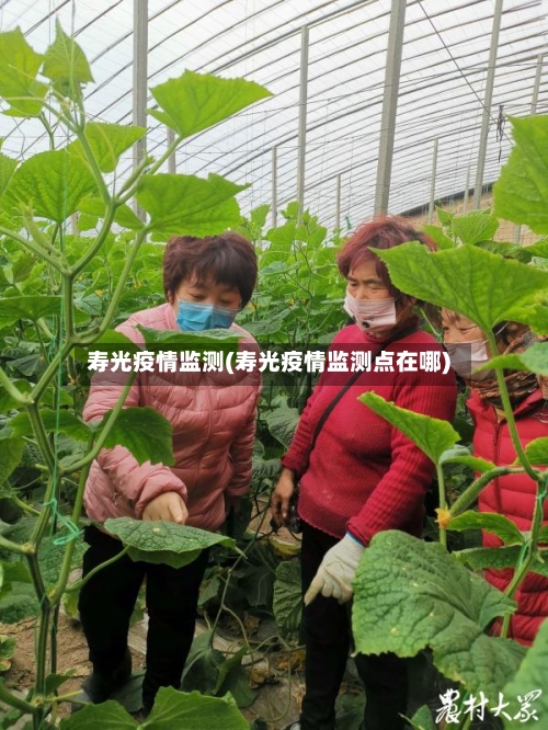 寿光疫情监测(寿光疫情监测点在哪)-第2张图片