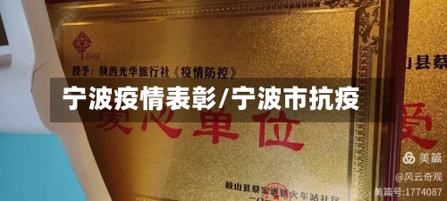 宁波疫情表彰/宁波市抗疫
