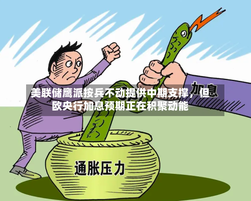 美联储鹰派按兵不动提供中期支撑，但欧央行加息预期正在积聚动能-第2张图片