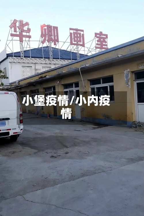 小堡疫情/小内疫情-第3张图片
