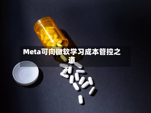 Meta可向微软学习成本管控之道