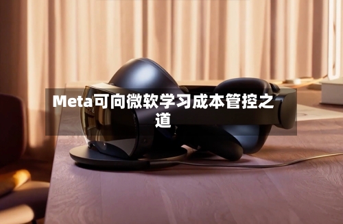 Meta可向微软学习成本管控之道-第3张图片