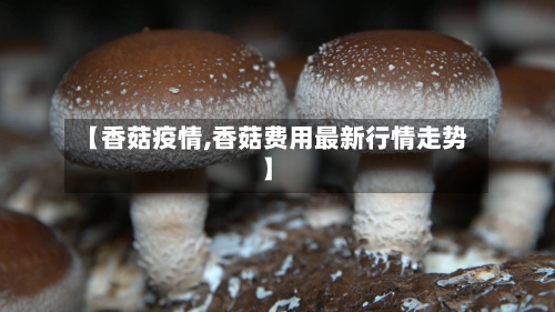 【香菇疫情,香菇费用最新行情走势】-第2张图片