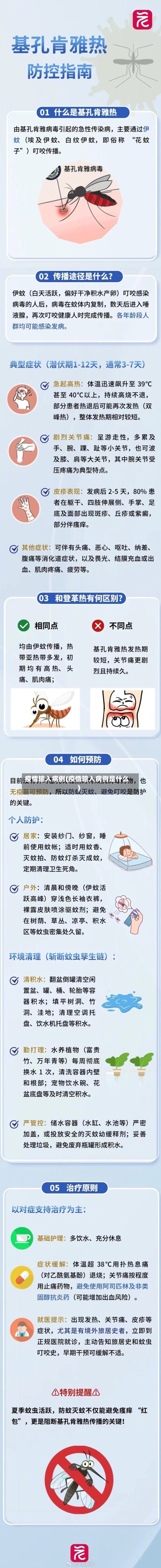 疫情输入病例(疫情输入病例是什么)