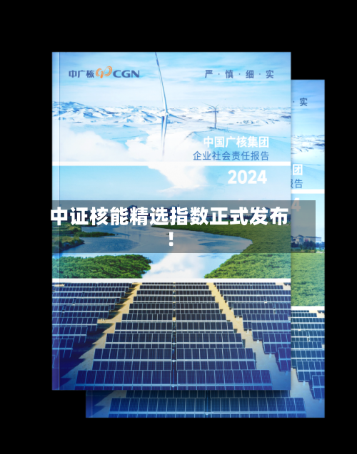 中证核能精选指数正式发布!-第2张图片