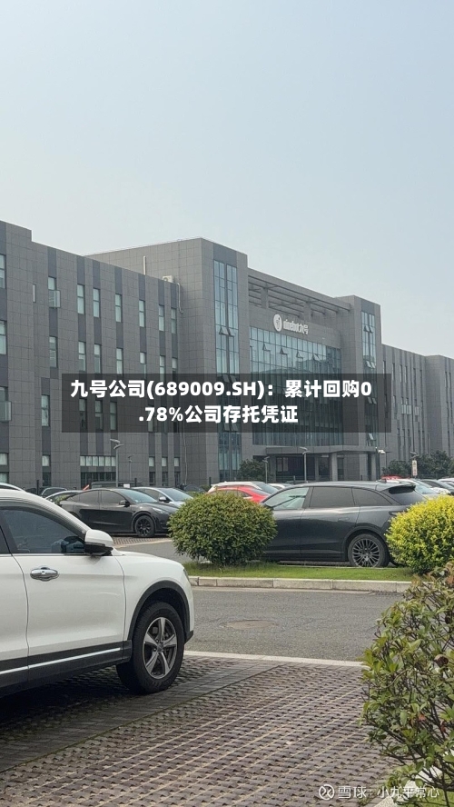 九号公司(689009.SH)：累计回购0.78%公司存托凭证-第2张图片