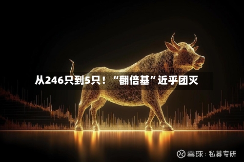 从246只到5只！“翻倍基”近乎团灭-第2张图片