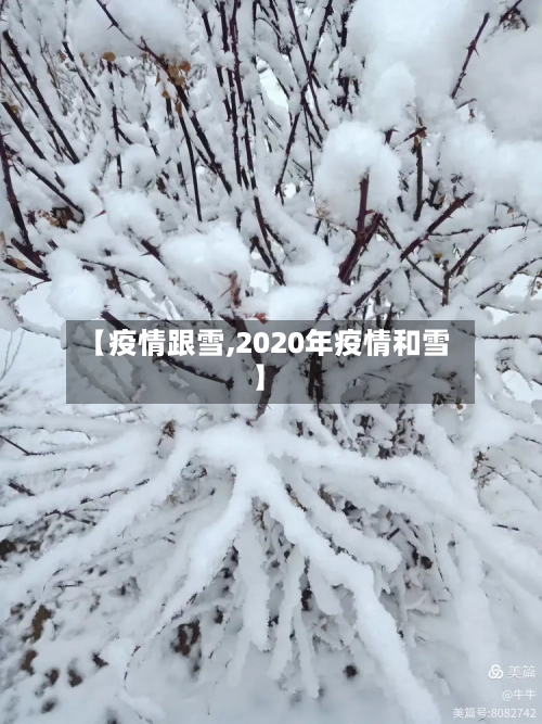【疫情跟雪,2020年疫情和雪】