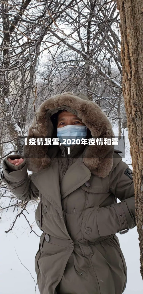 【疫情跟雪,2020年疫情和雪】-第2张图片