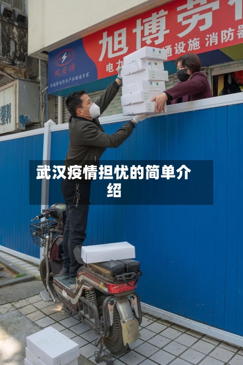 武汉疫情担忧的简单介绍-第3张图片