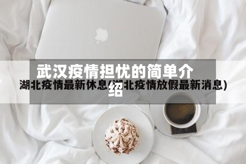武汉疫情担忧的简单介绍