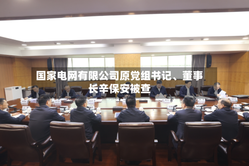 国家电网有限公司原党组书记、董事长辛保安被查-第2张图片
