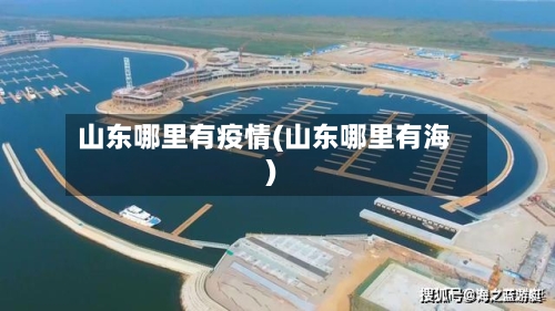 山东哪里有疫情(山东哪里有海)-第2张图片