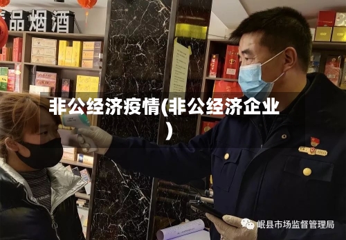 非公经济疫情(非公经济企业)-第2张图片