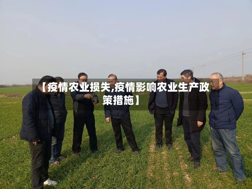 【疫情农业损失,疫情影响农业生产政策措施】