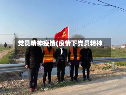 党员精神疫情(疫情下党员精神)-第3张图片