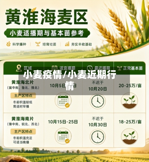 小麦疫情/小麦近期行情