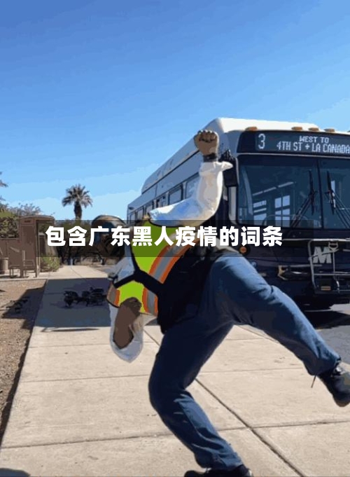 包含广东黑人疫情的词条-第2张图片