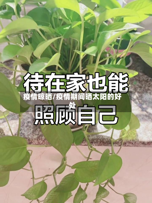 疫情晾晒/疫情期间晒太阳的好处