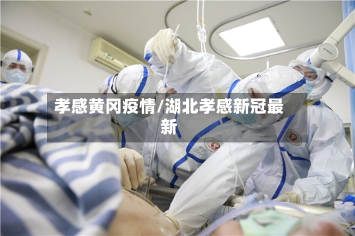 孝感黄冈疫情/湖北孝感新冠最新-第2张图片