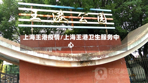 上海王港疫情/上海王港卫生服务中心-第3张图片