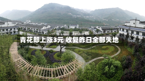 青花郎上涨3元 收复昨日全部失地-第2张图片