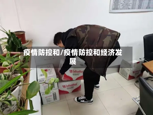 疫情防控和/疫情防控和经济发展