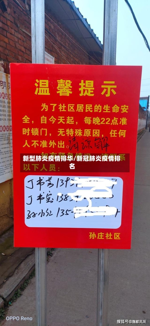 新型肺炎疫情排华/新冠肺炎疫情排名