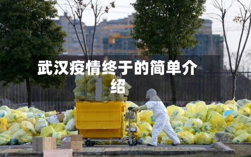 武汉疫情终于的简单介绍