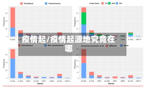 疫情起/疫情起源地究竟在哪-第2张图片