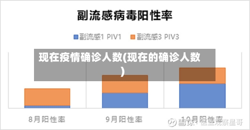 现在疫情确诊人数(现在的确诊人数)