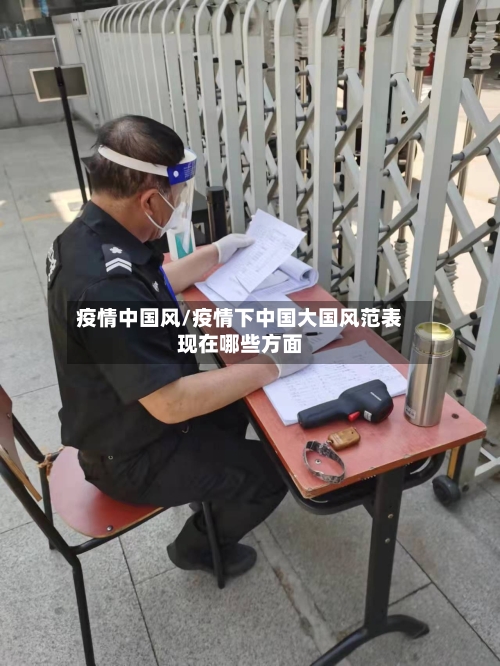 疫情中国风/疫情下中国大国风范表现在哪些方面