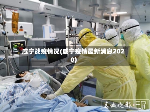 咸宁战疫情况(咸宁疫情最新消息2020)