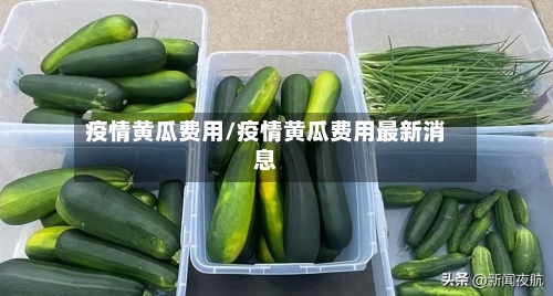 疫情黄瓜费用/疫情黄瓜费用最新消息