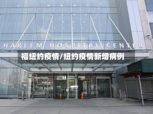 福纽约疫情/纽约疫情新增病例-第2张图片