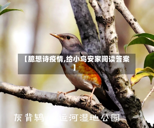 【臆想诗疫情,给小鸟安家阅读答案】