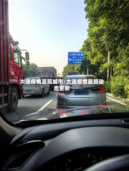 大连疫情蔓延城市/大连疫情最新动态更新-第2张图片
