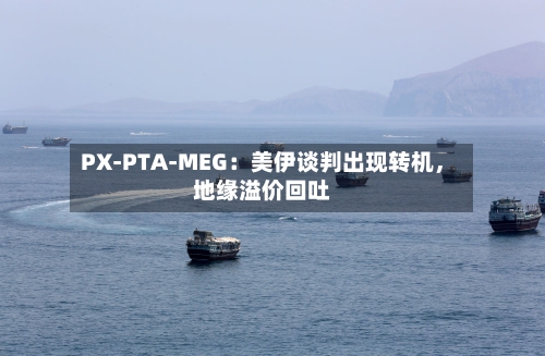 PX-PTA-MEG：美伊谈判出现转机，地缘溢价回吐