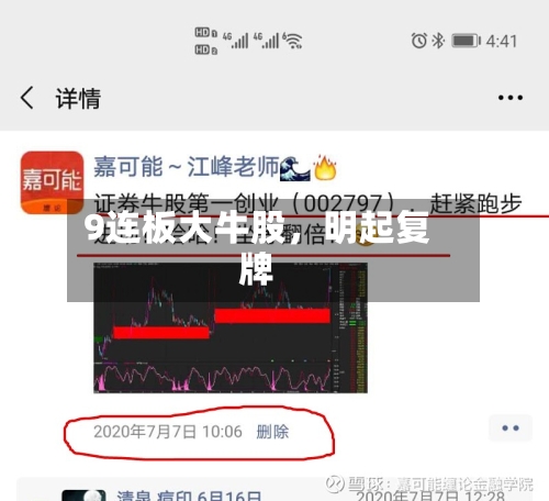 9连板大牛股，明起复牌-第3张图片