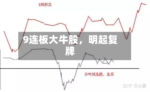 9连板大牛股，明起复牌