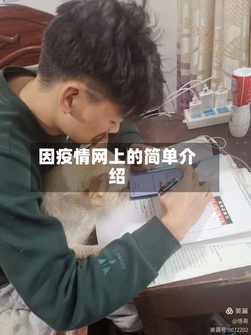 因疫情网上的简单介绍