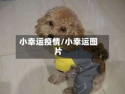 小幸运疫情/小幸运图片-第2张图片