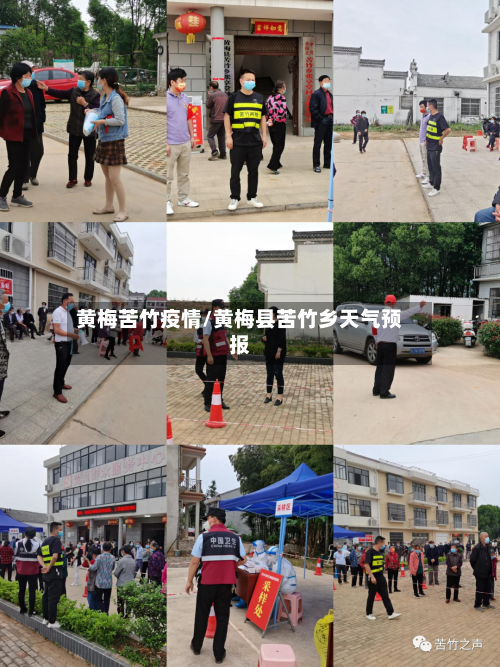 黄梅苦竹疫情/黄梅县苦竹乡天气预报