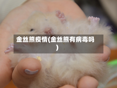 金丝熊疫情(金丝熊有病毒吗)-第2张图片