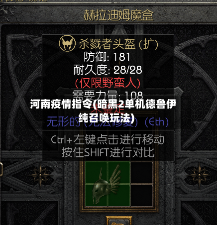 河南疫情指令(暗黑2单机德鲁伊纯召唤玩法)-第3张图片